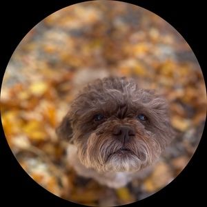 Meet your Posher, Carly